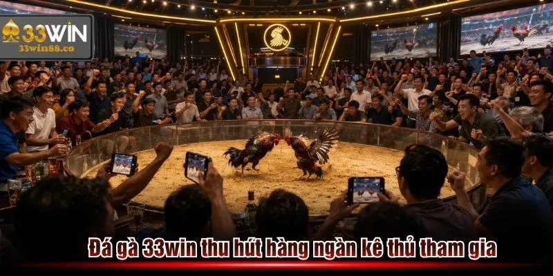 Nền tảng Đá gà 33win thu hút hàng ngàn hội viên truy cập đặt cược mỗi ngày